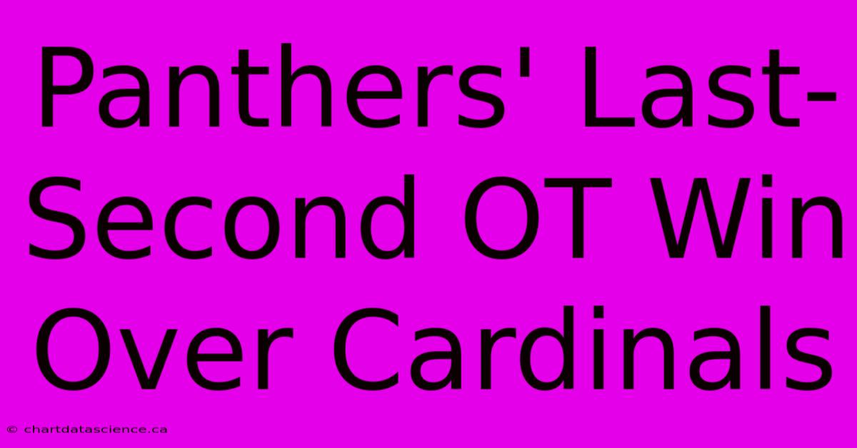 Panthers' Last-Second OT Win Over Cardinals