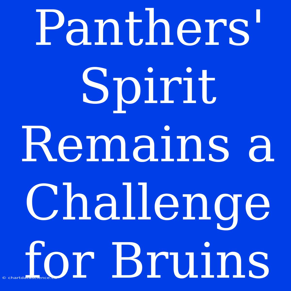 Panthers' Spirit Remains A Challenge For Bruins