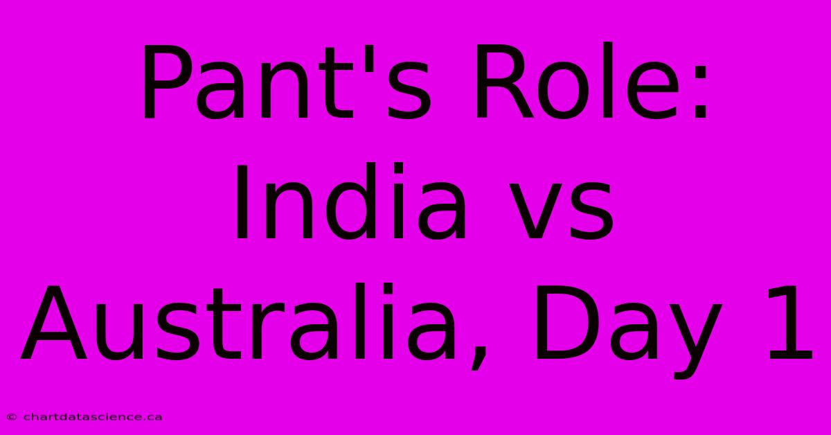 Pant's Role: India Vs Australia, Day 1