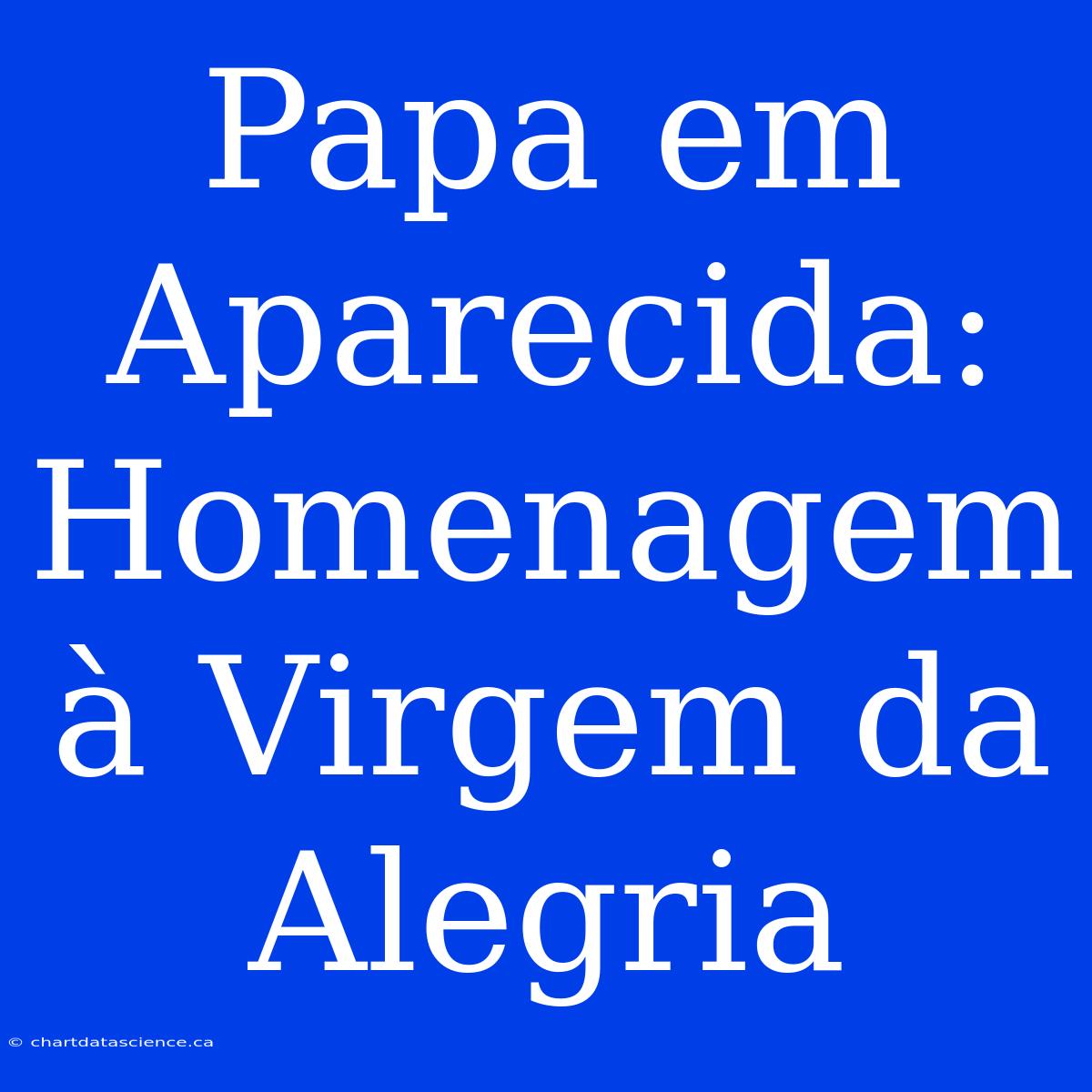 Papa Em Aparecida: Homenagem À Virgem Da Alegria