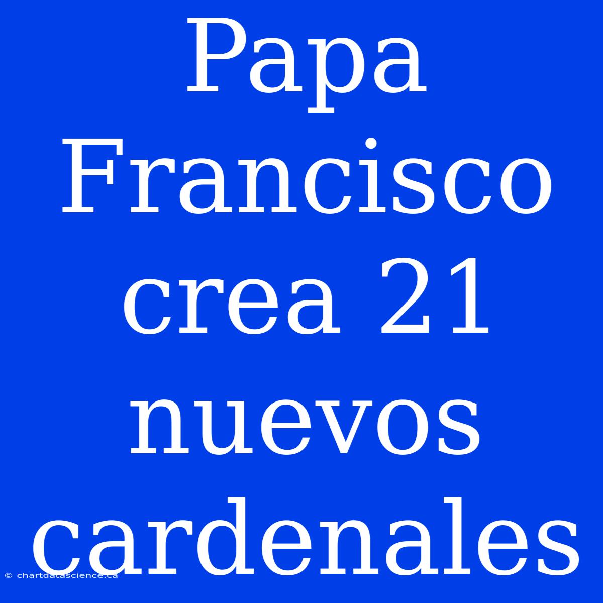 Papa Francisco Crea 21 Nuevos Cardenales