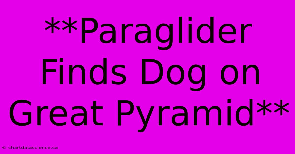 **Paraglider Finds Dog On Great Pyramid**