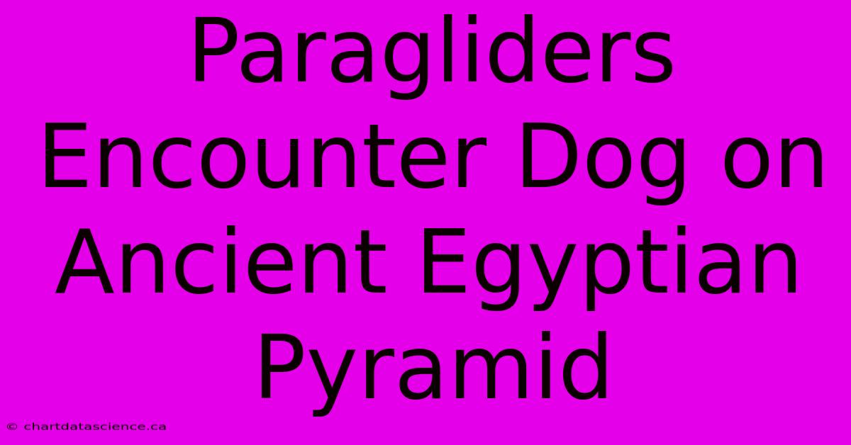 Paragliders Encounter Dog On Ancient Egyptian Pyramid