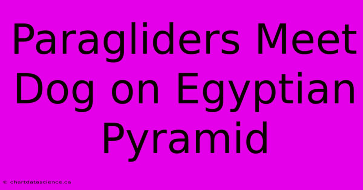 Paragliders Meet Dog On Egyptian Pyramid