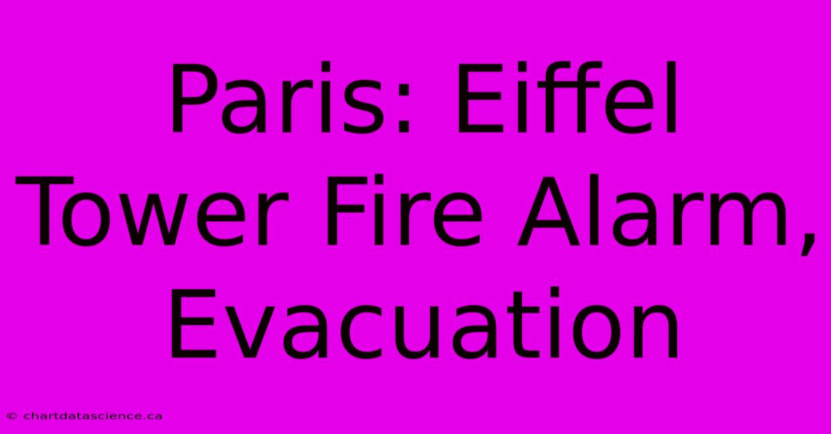 Paris: Eiffel Tower Fire Alarm, Evacuation