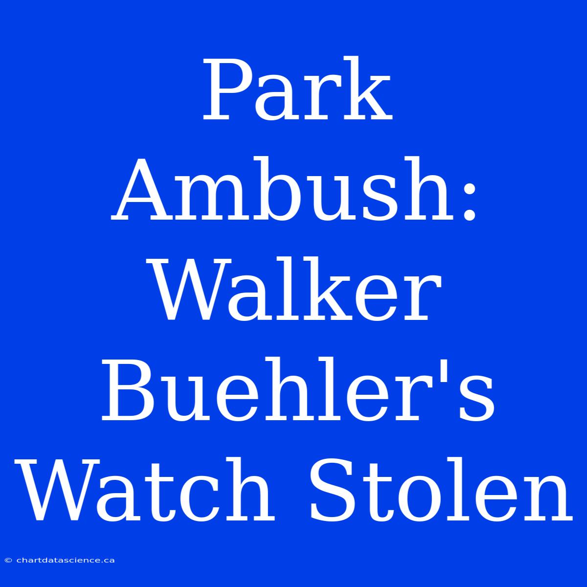 Park Ambush: Walker Buehler's Watch Stolen