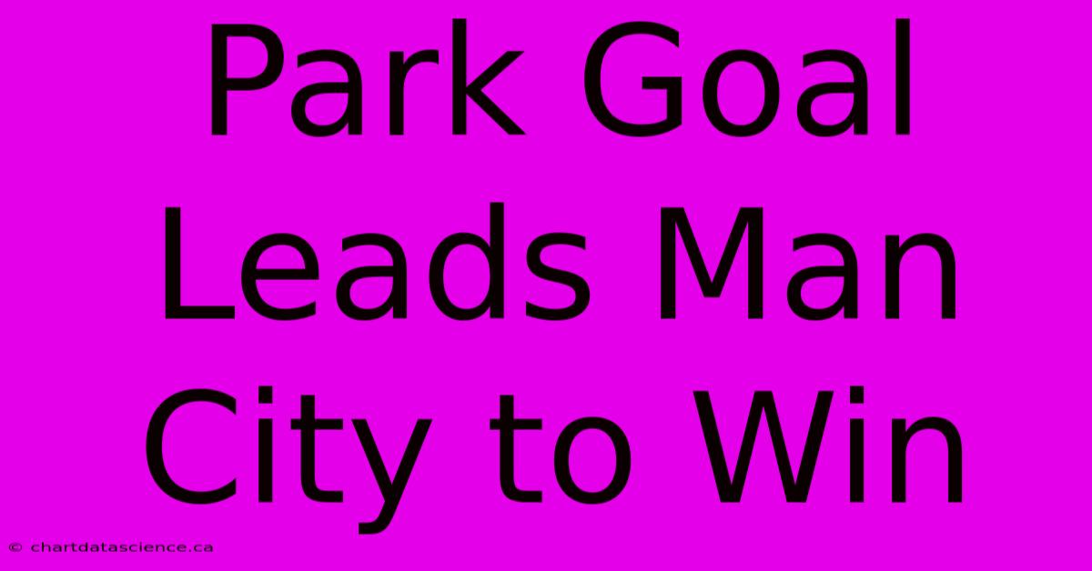 Park Goal Leads Man City To Win 