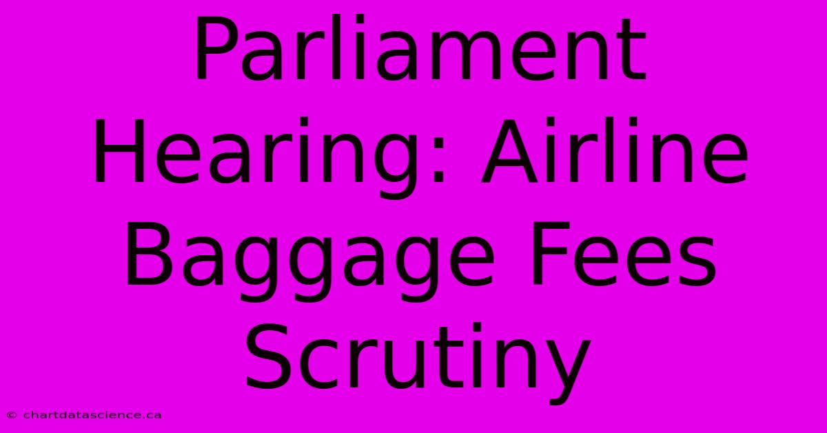 Parliament Hearing: Airline Baggage Fees Scrutiny