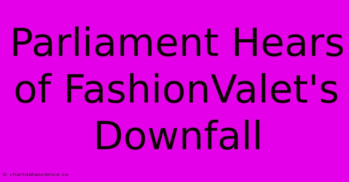 Parliament Hears Of FashionValet's Downfall