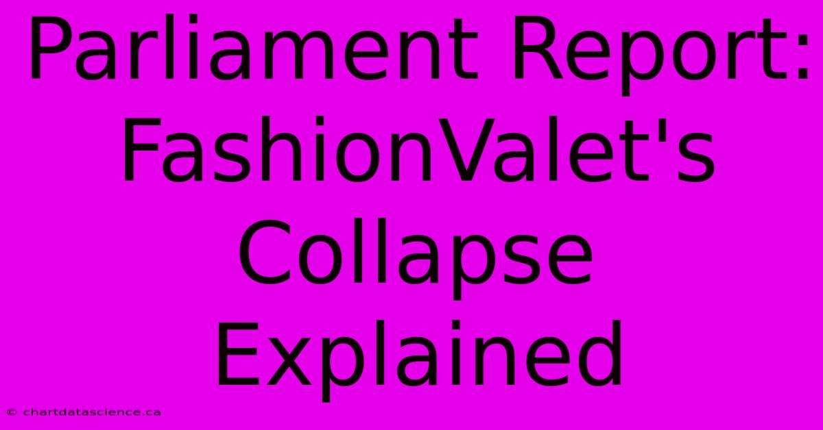 Parliament Report: FashionValet's Collapse Explained