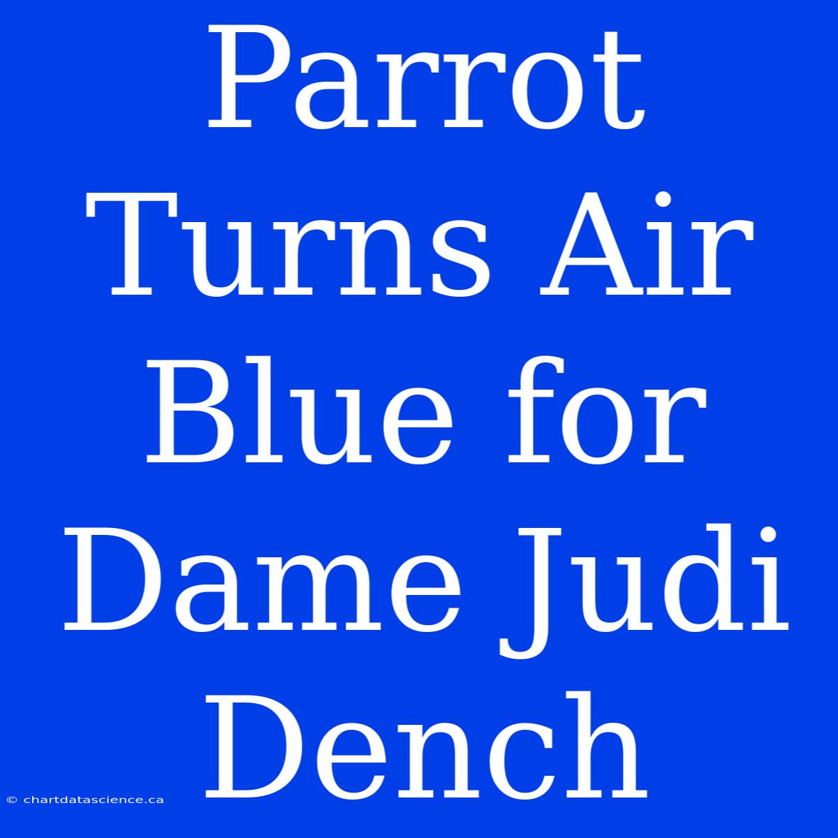 Parrot Turns Air Blue For Dame Judi Dench