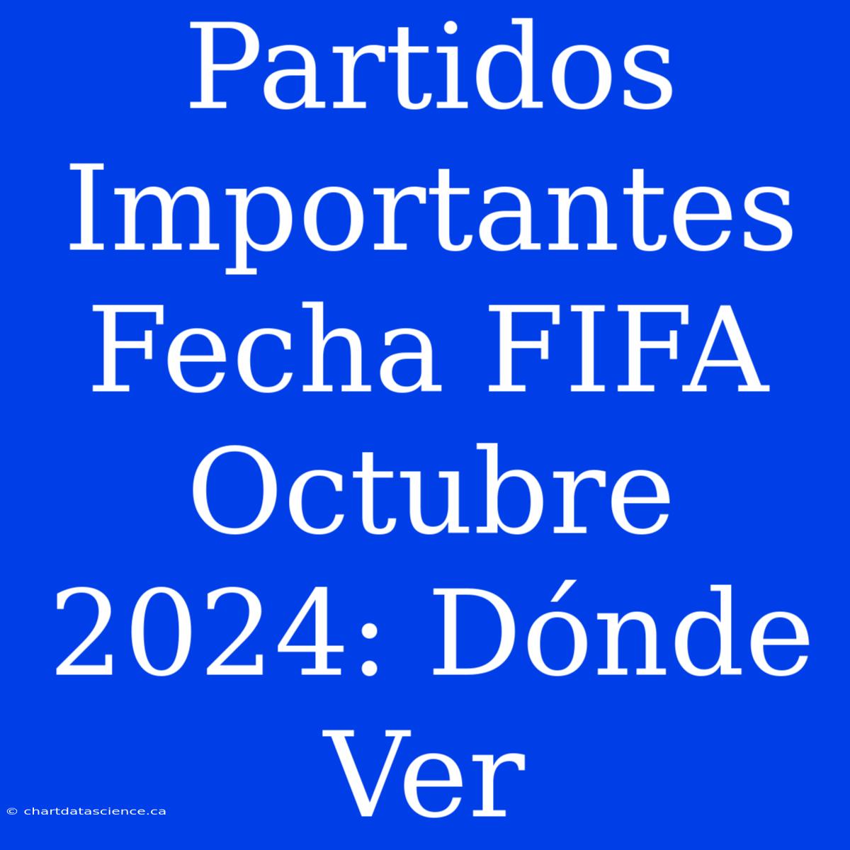 Partidos Importantes Fecha FIFA Octubre 2024: Dónde Ver