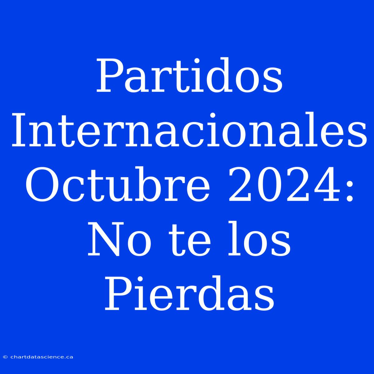 Partidos Internacionales Octubre 2024: No Te Los Pierdas