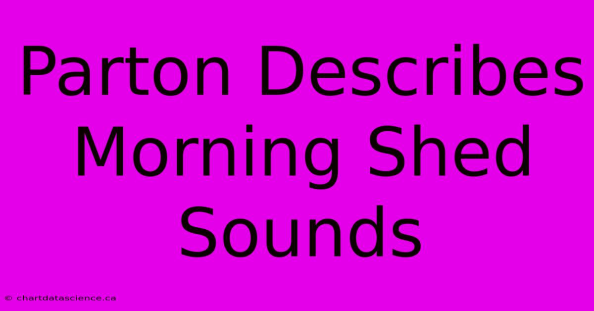 Parton Describes Morning Shed Sounds 