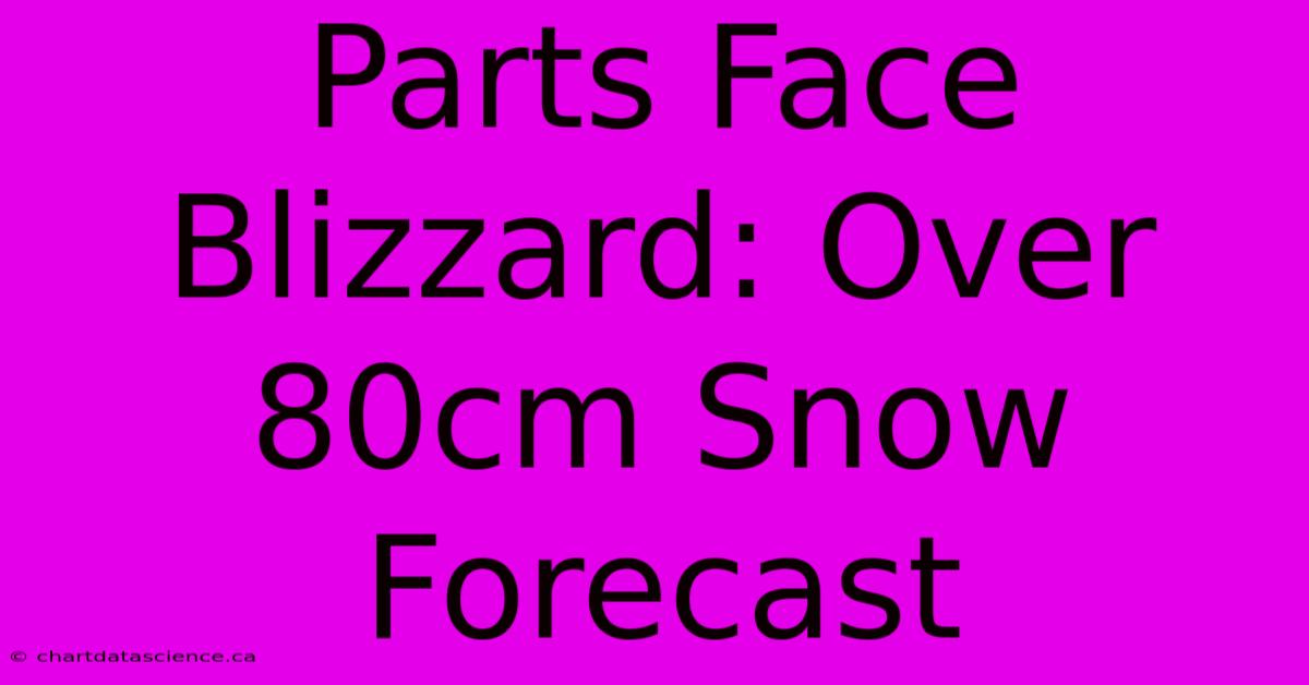 Parts Face Blizzard: Over 80cm Snow Forecast