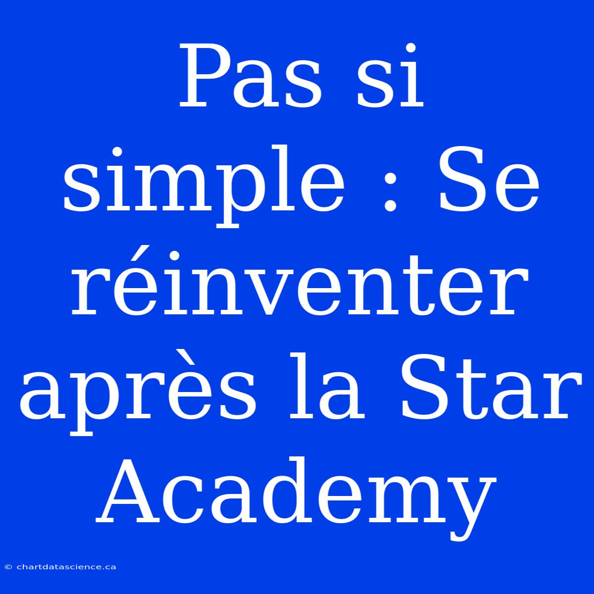 Pas Si Simple : Se Réinventer Après La Star Academy