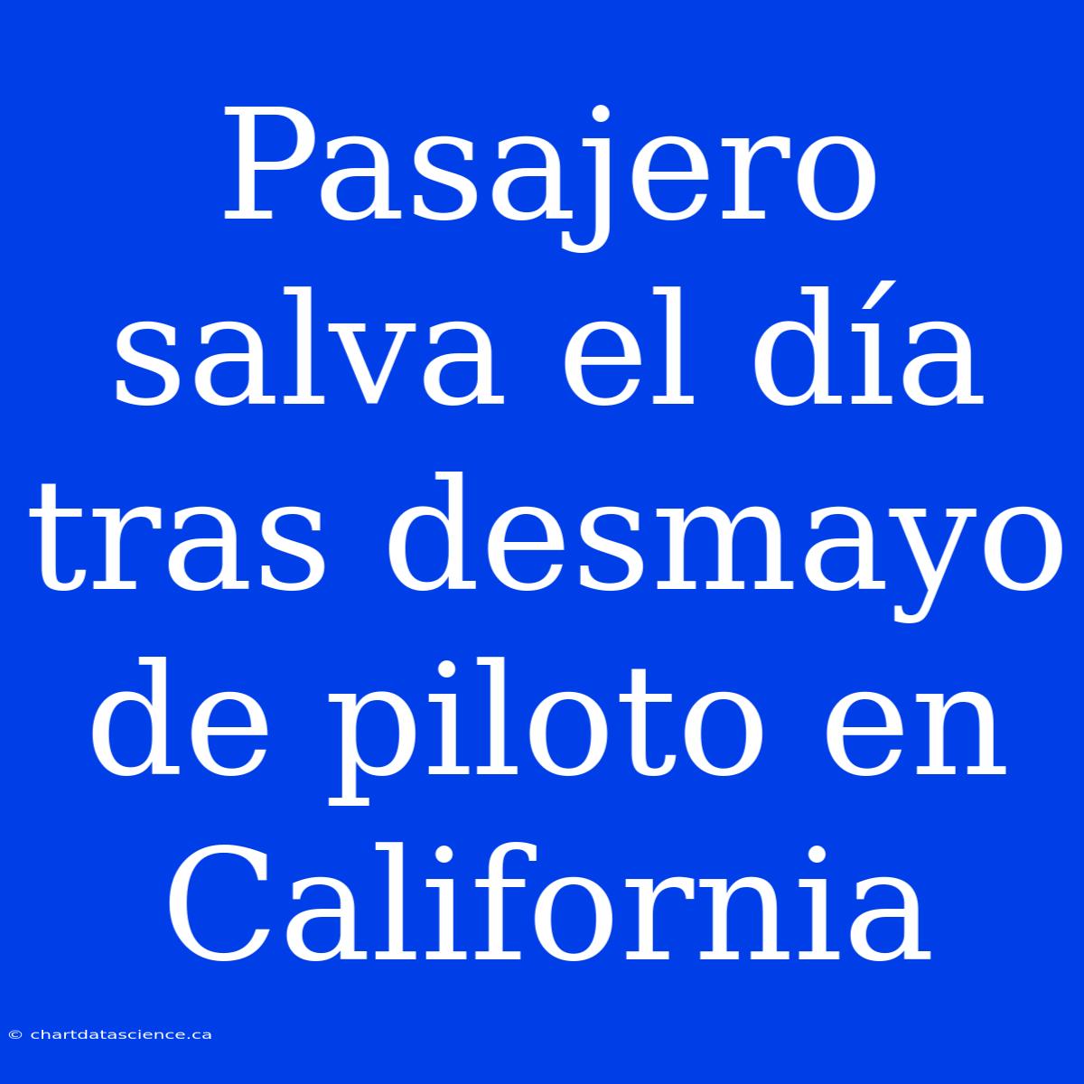 Pasajero Salva El Día Tras Desmayo De Piloto En California