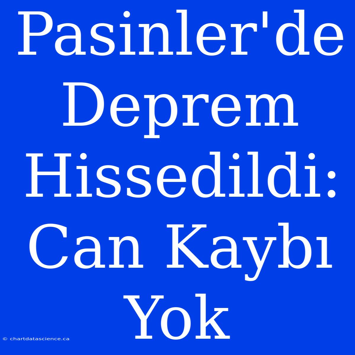 Pasinler'de Deprem Hissedildi: Can Kaybı Yok