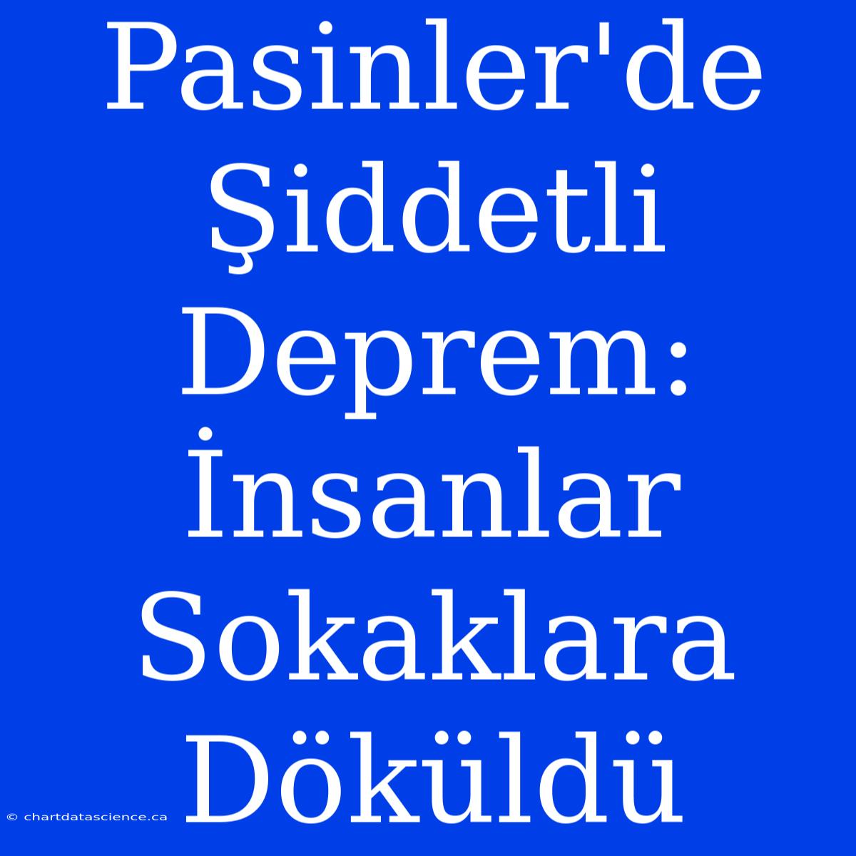 Pasinler'de Şiddetli Deprem: İnsanlar Sokaklara Döküldü