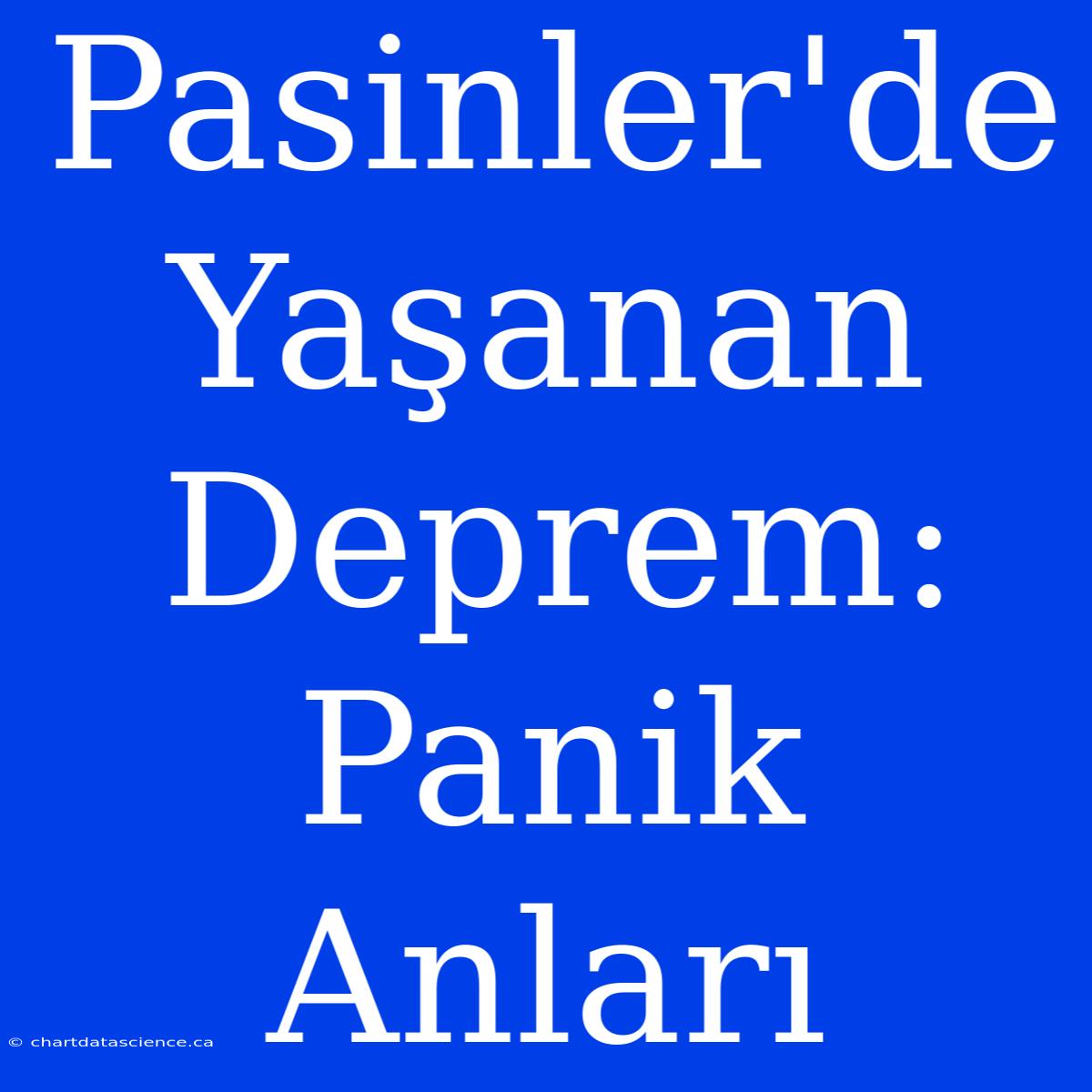 Pasinler'de Yaşanan Deprem: Panik Anları