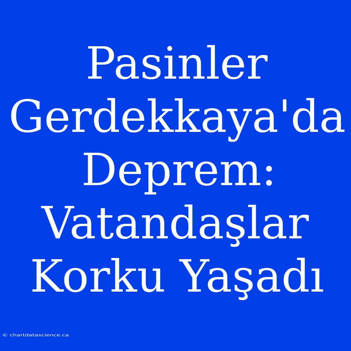 Pasinler Gerdekkaya'da Deprem: Vatandaşlar Korku Yaşadı