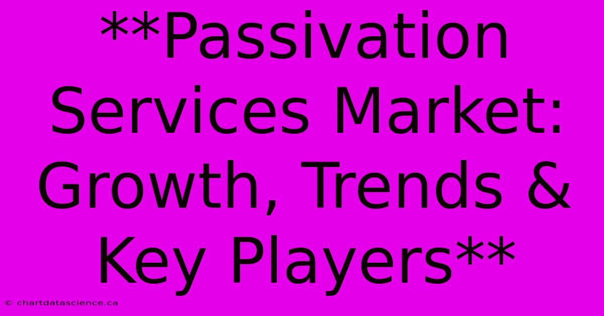 **Passivation Services Market: Growth, Trends & Key Players**