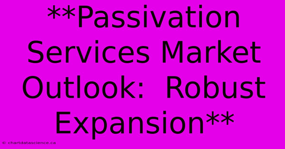 **Passivation Services Market Outlook:  Robust Expansion**