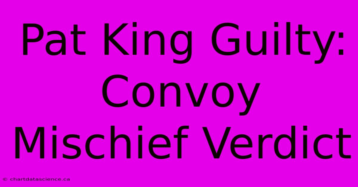 Pat King Guilty: Convoy Mischief Verdict