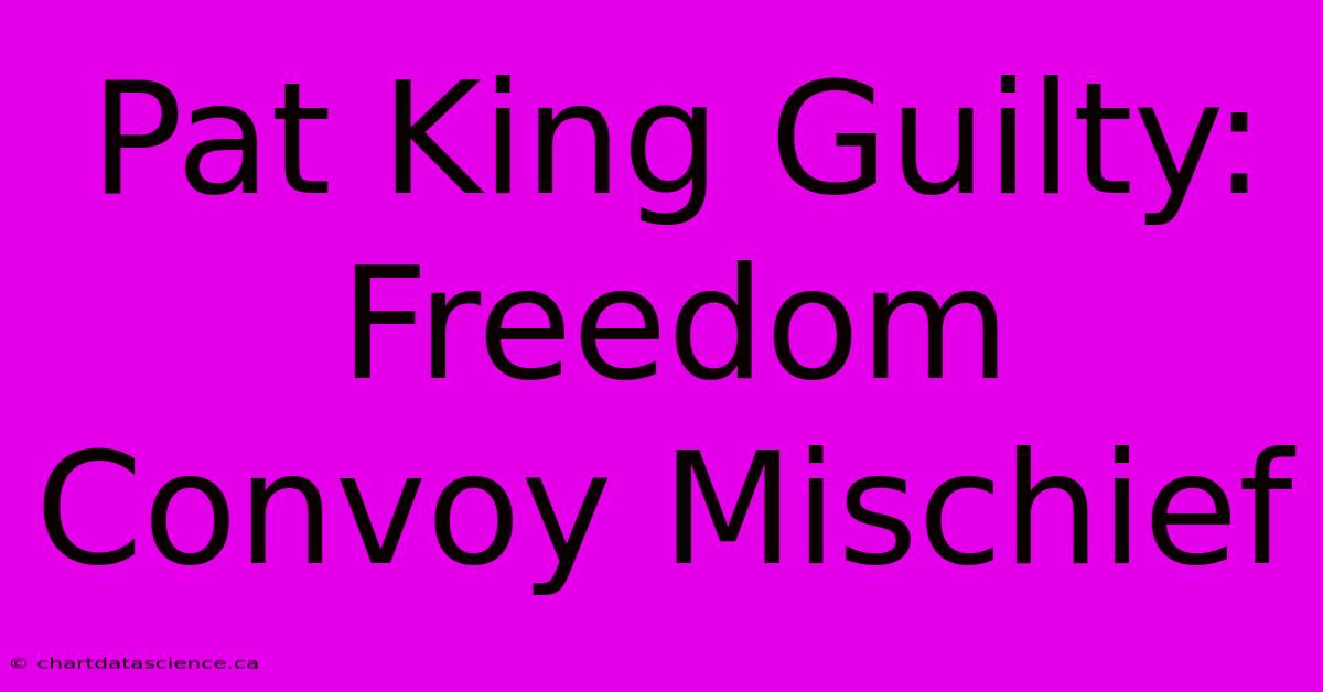 Pat King Guilty: Freedom Convoy Mischief