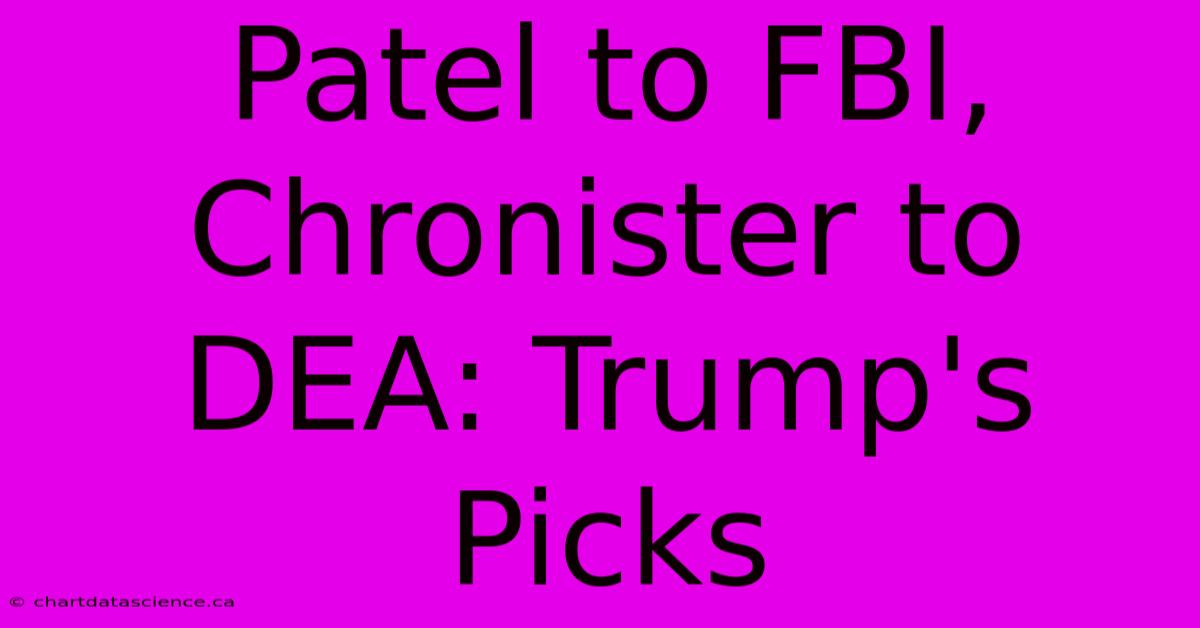 Patel To FBI, Chronister To DEA: Trump's Picks