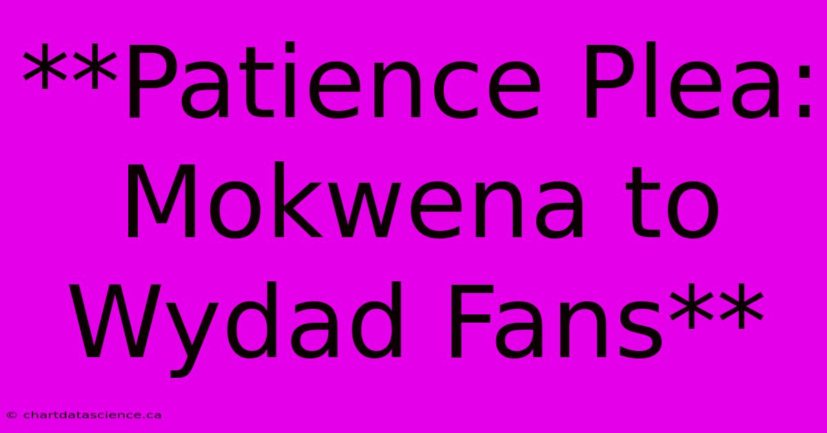 **Patience Plea: Mokwena To Wydad Fans**