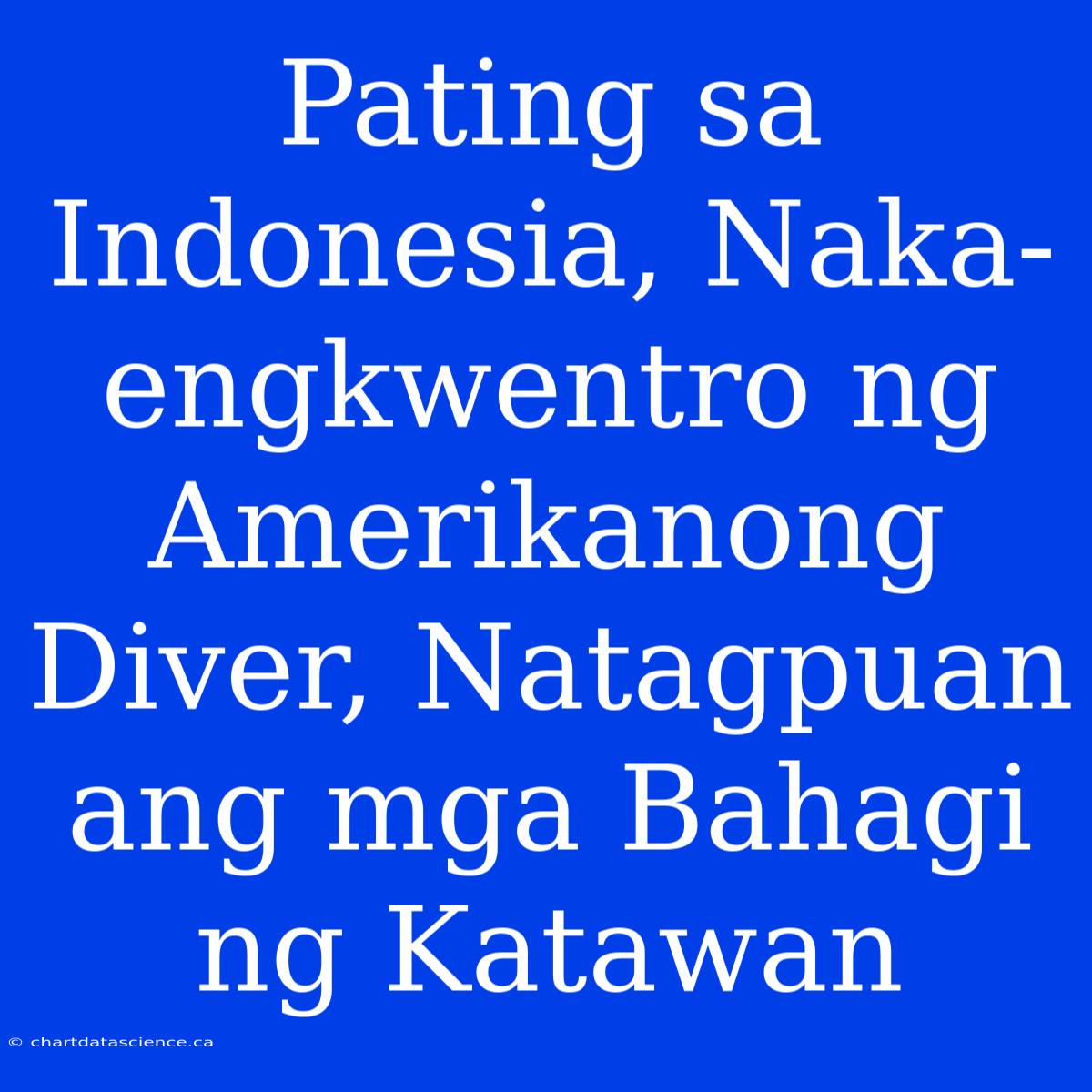 Pating Sa Indonesia, Naka-engkwentro Ng Amerikanong Diver, Natagpuan Ang Mga Bahagi Ng Katawan