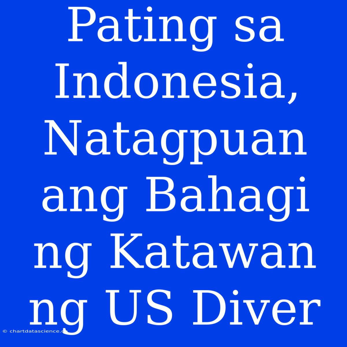 Pating Sa Indonesia, Natagpuan Ang Bahagi Ng Katawan Ng US Diver