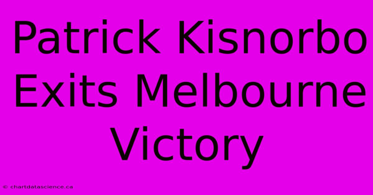 Patrick Kisnorbo Exits Melbourne Victory