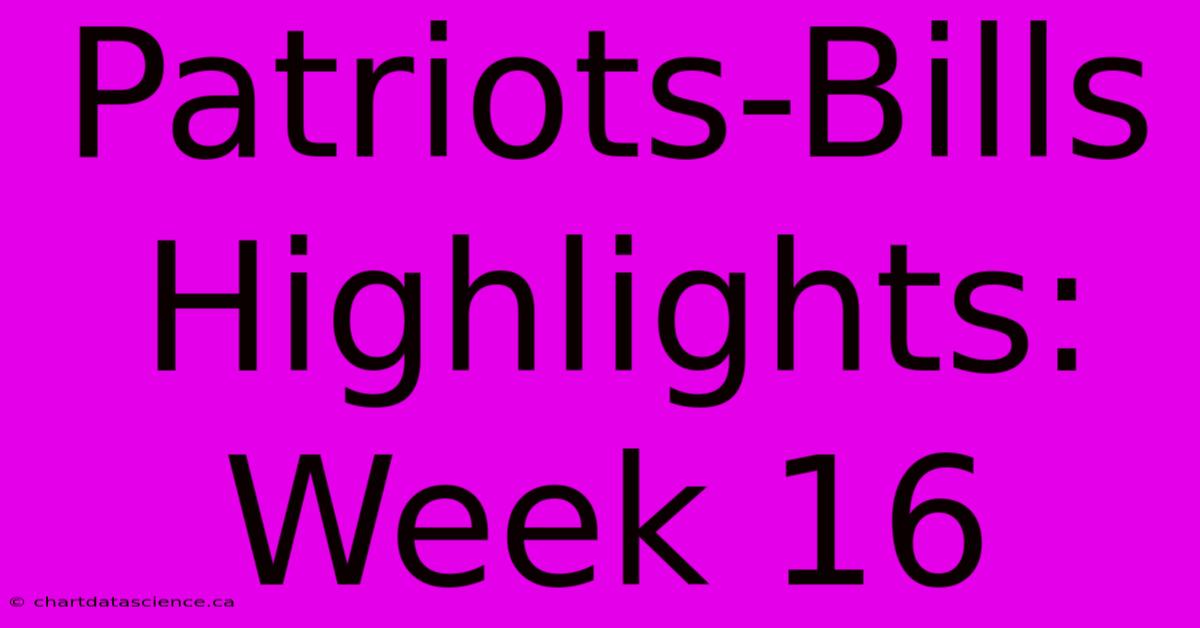 Patriots-Bills Highlights: Week 16