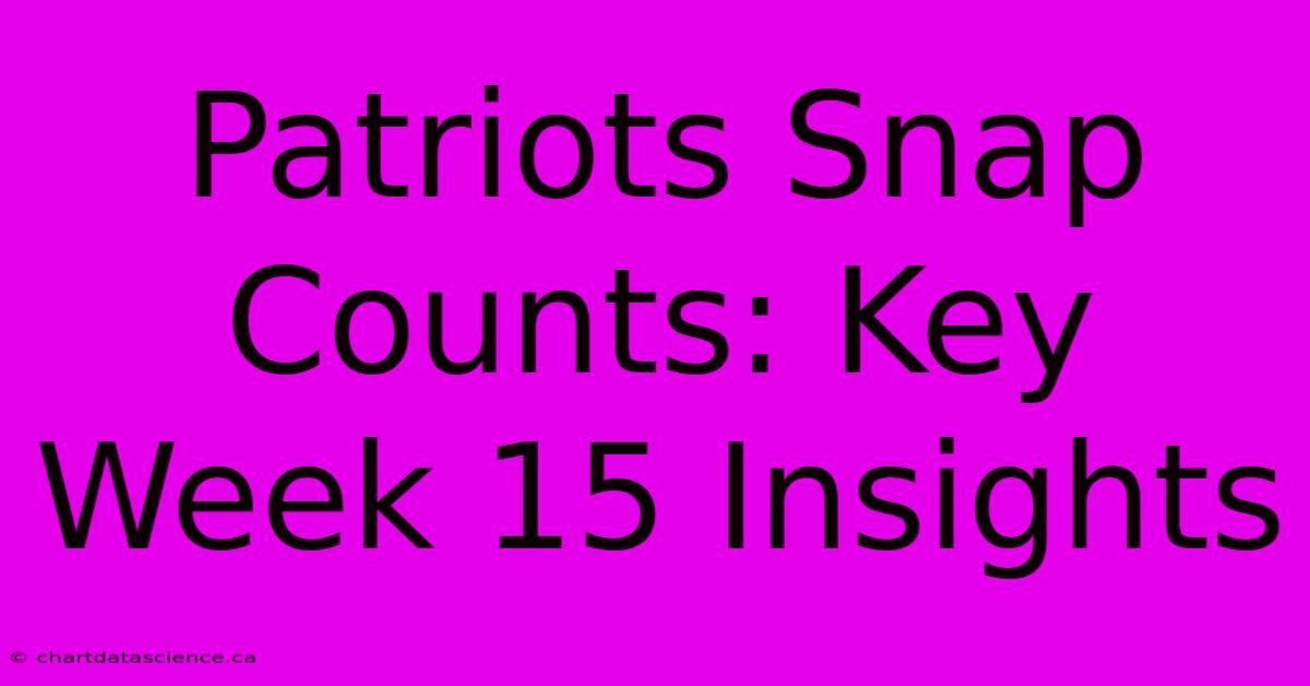 Patriots Snap Counts: Key Week 15 Insights