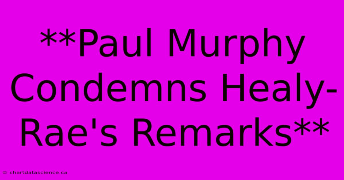 **Paul Murphy Condemns Healy-Rae's Remarks**