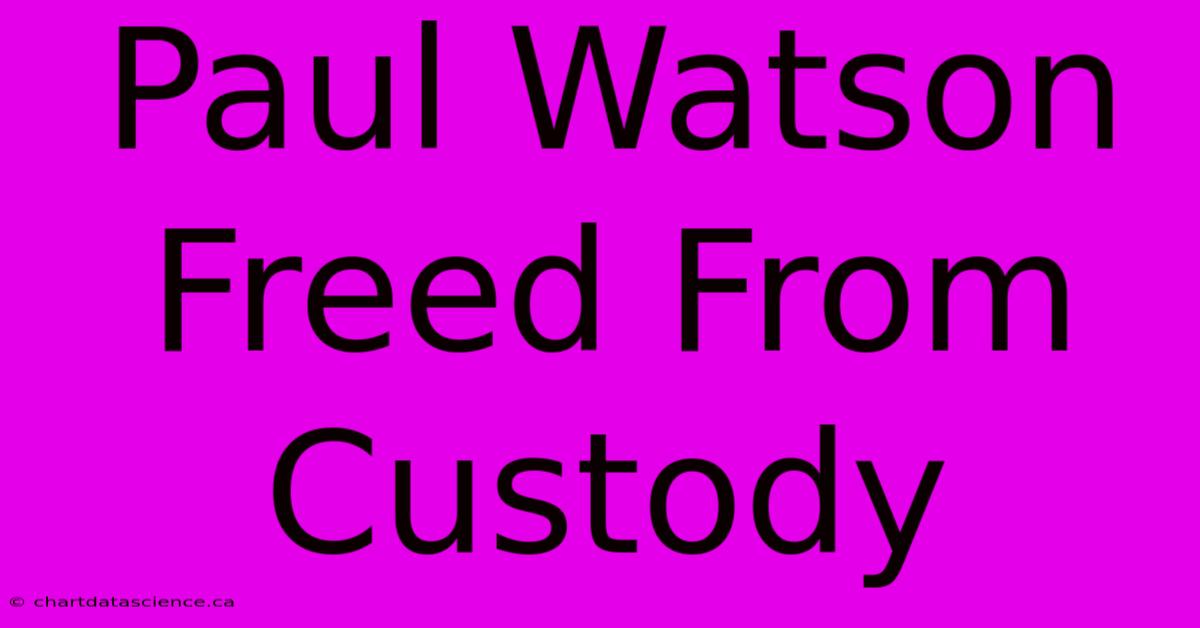 Paul Watson Freed From Custody