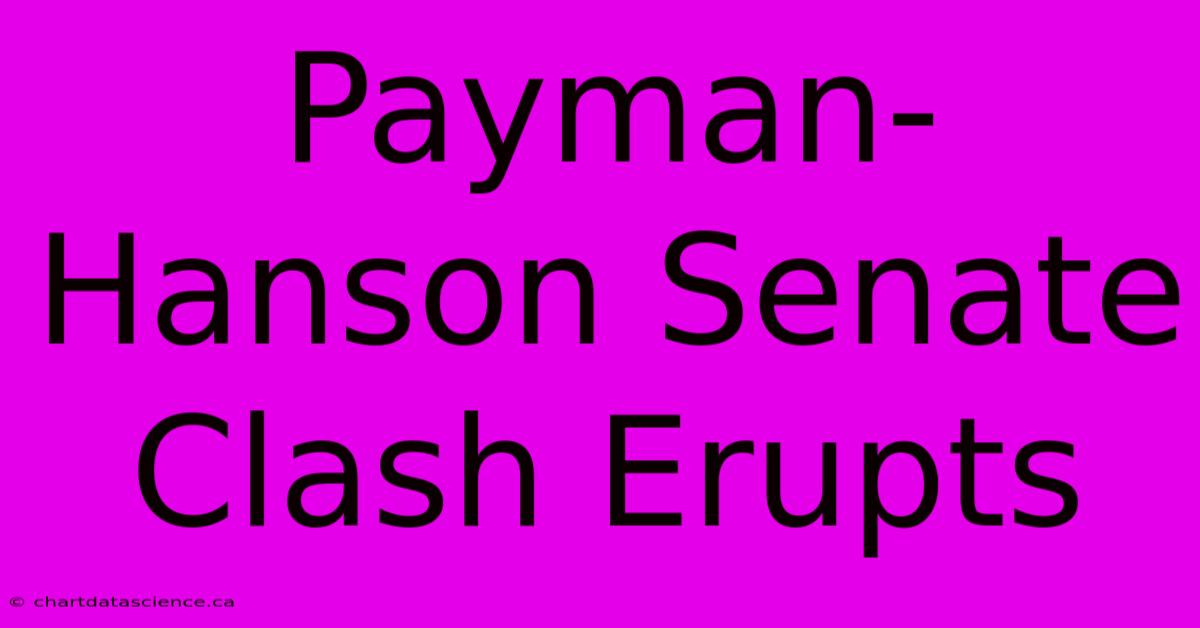 Payman-Hanson Senate Clash Erupts