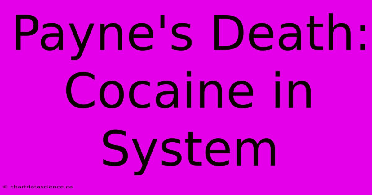 Payne's Death: Cocaine In System