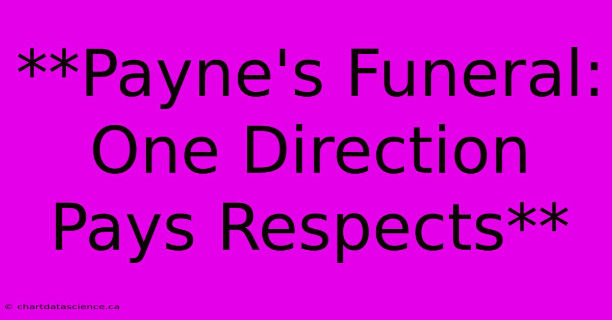 **Payne's Funeral: One Direction Pays Respects**