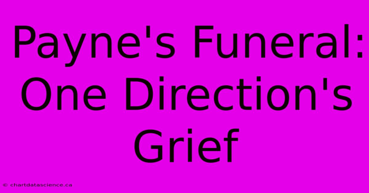 Payne's Funeral: One Direction's Grief