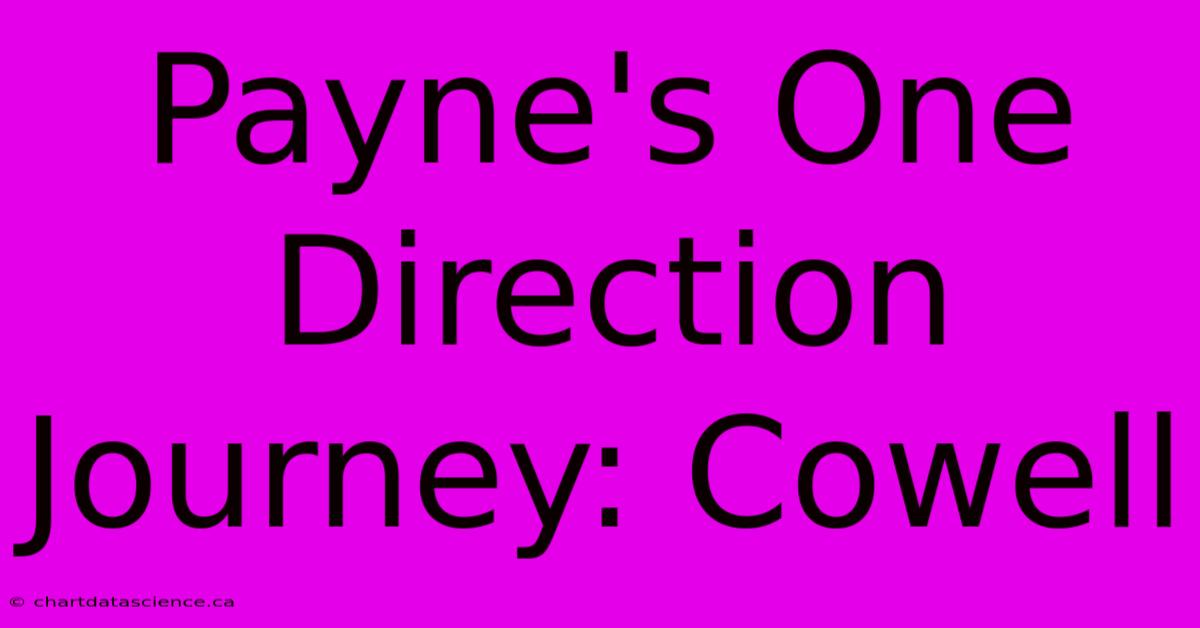 Payne's One Direction Journey: Cowell