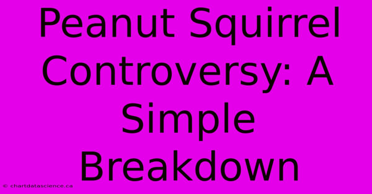 Peanut Squirrel Controversy: A Simple Breakdown 