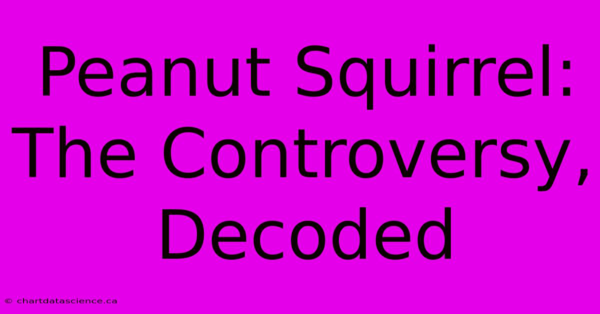 Peanut Squirrel:  The Controversy, Decoded