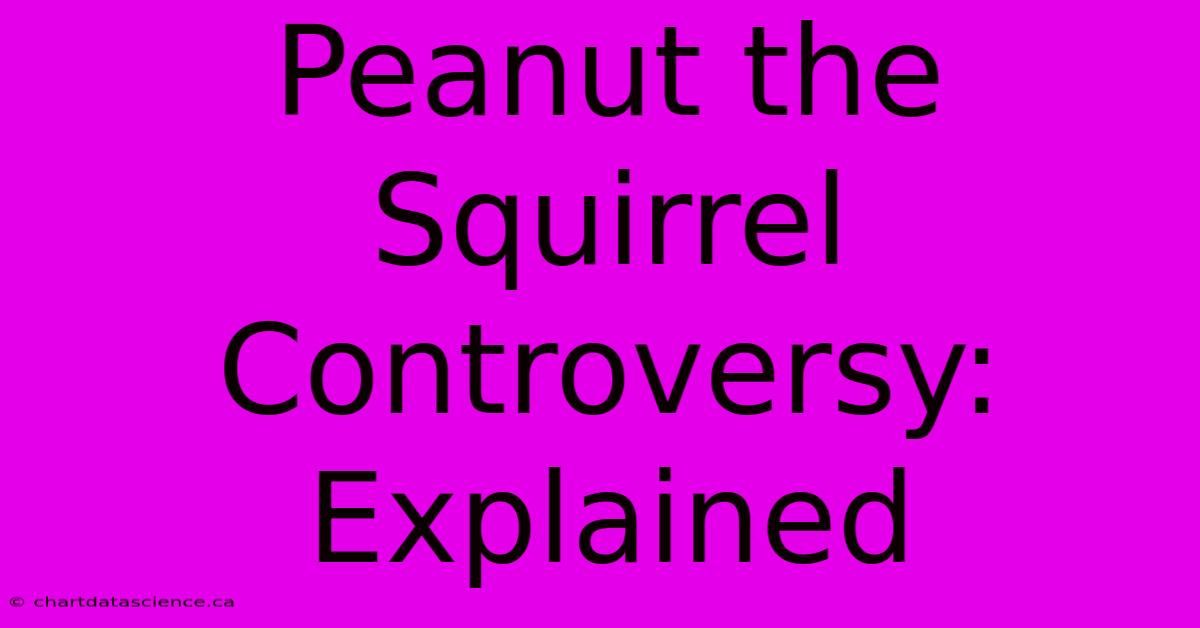 Peanut The Squirrel Controversy: Explained