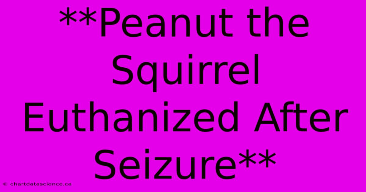 **Peanut The Squirrel Euthanized After Seizure**