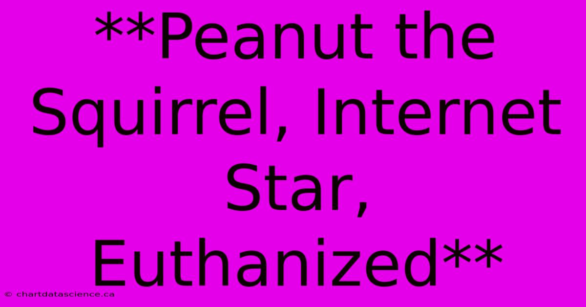 **Peanut The Squirrel, Internet Star, Euthanized**