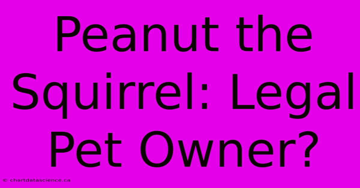 Peanut The Squirrel: Legal Pet Owner? 