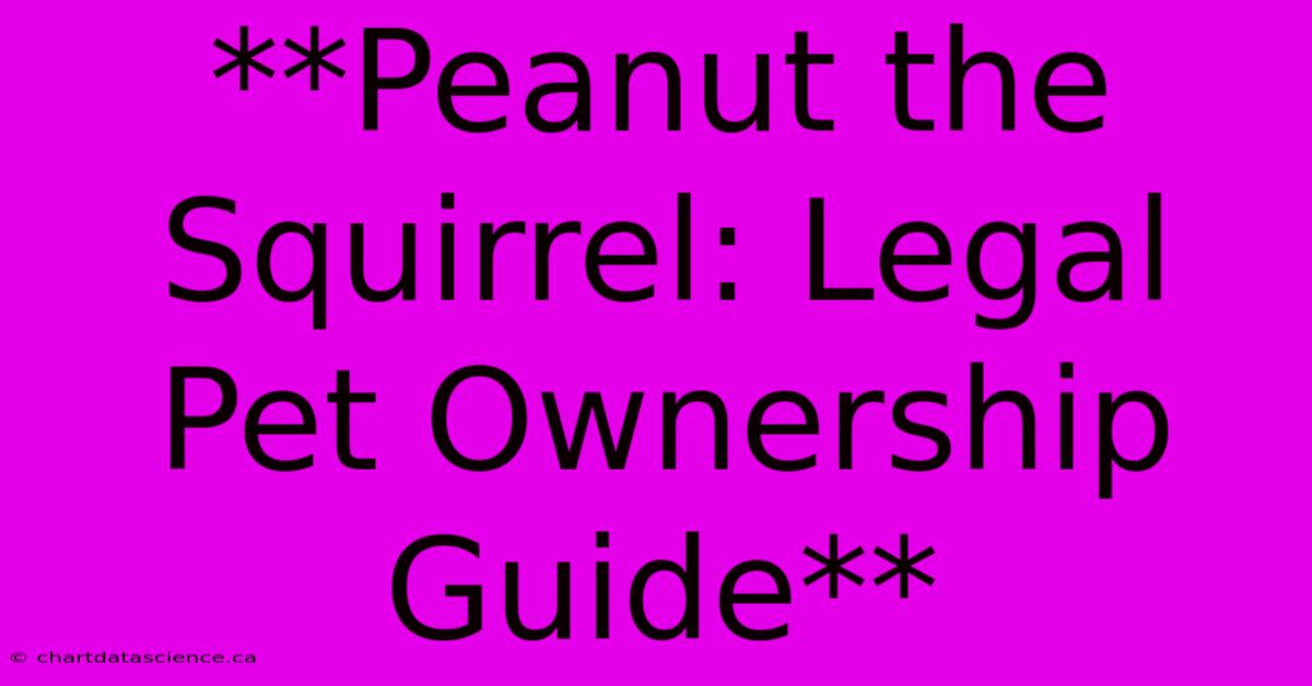 **Peanut The Squirrel: Legal Pet Ownership Guide**